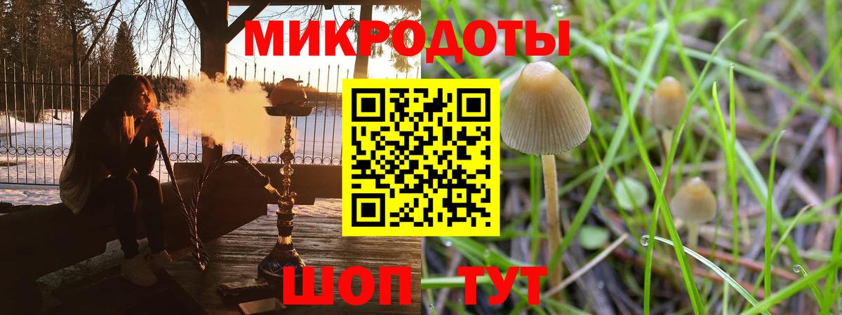 Псилоцибиновые грибы Psilocybine cubensis Асино