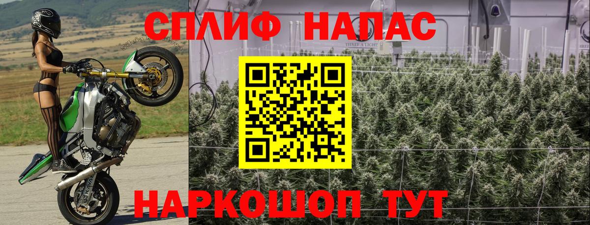 Канабис тримм  Вход с VPN  Марихуана AK-47  Асино  Бошки марихуана план 